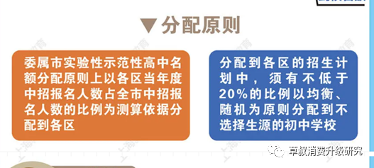 澳门四不像正版揭秘，深度解析与详细解答
