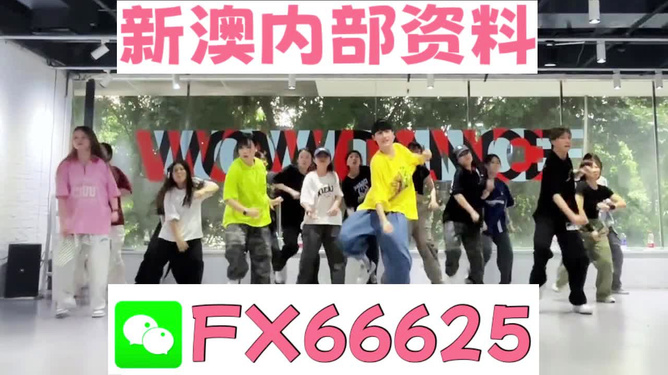 澳门管家婆与肖一码，全面解读与探讨