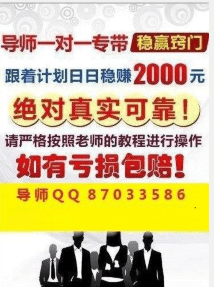 澳门天天彩期期精准十二生肖与综合解答解释落实，揭示背后的真相与警示公众