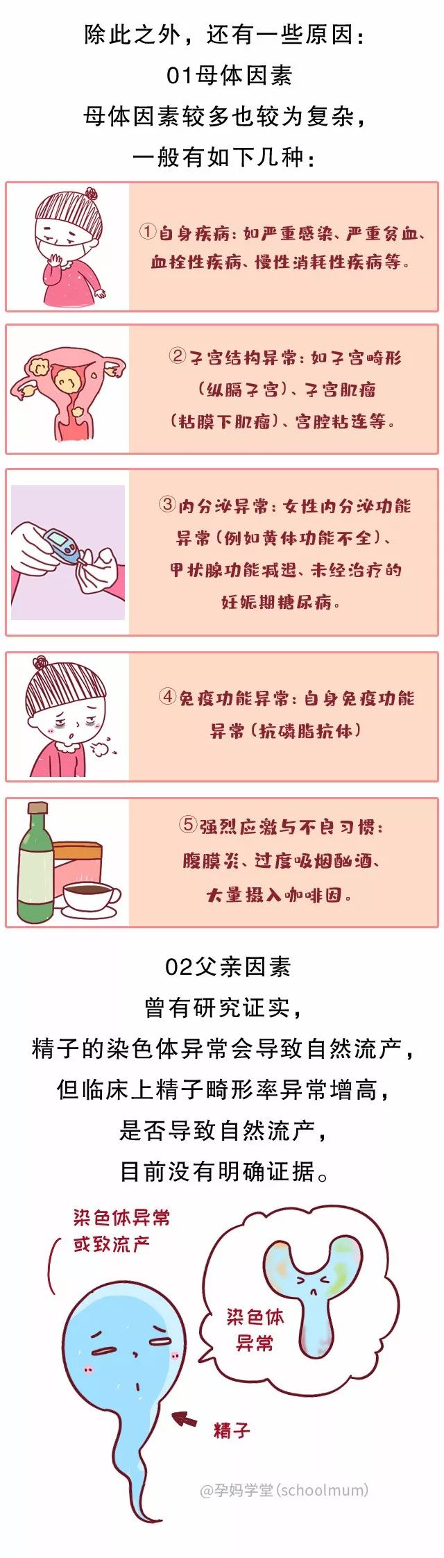 揭秘三肖三码，科学解答与深入解释