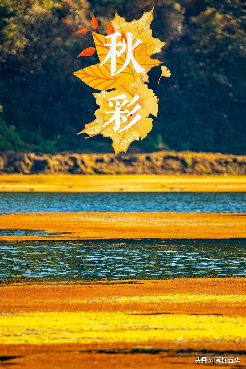 关于天天彩免费资料的全面解答与解释——警惕违法犯罪风险