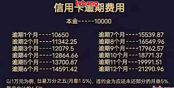 一码一肖，全面解析与解答落实策略