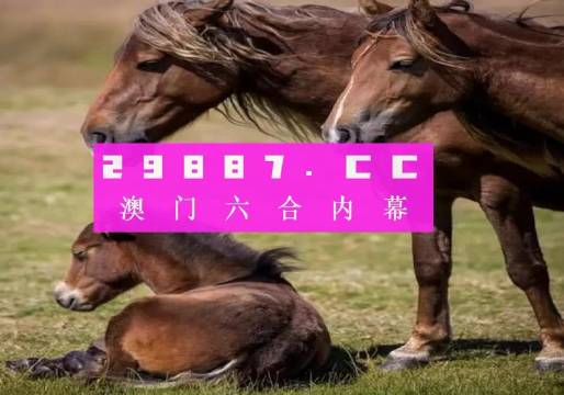 关于香港内部最准的一肖一码与实时解答解释落实的探索