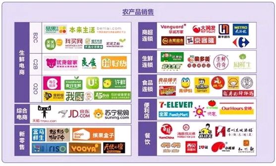 新澳彩最精准免费全网资料，统计解答与解释落实的重要性