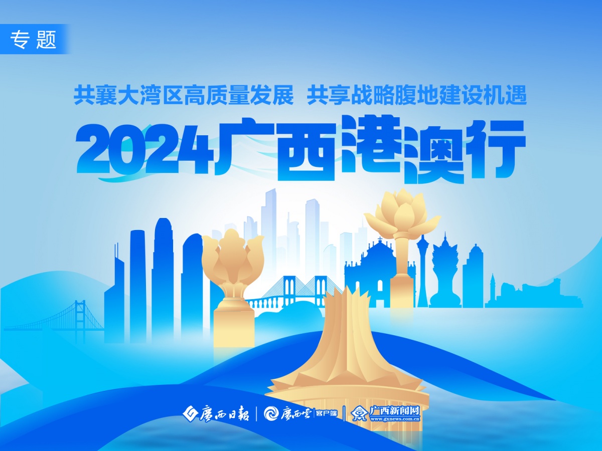 澳门精准正版资料大全，构建解答解释落实的策略与重要性