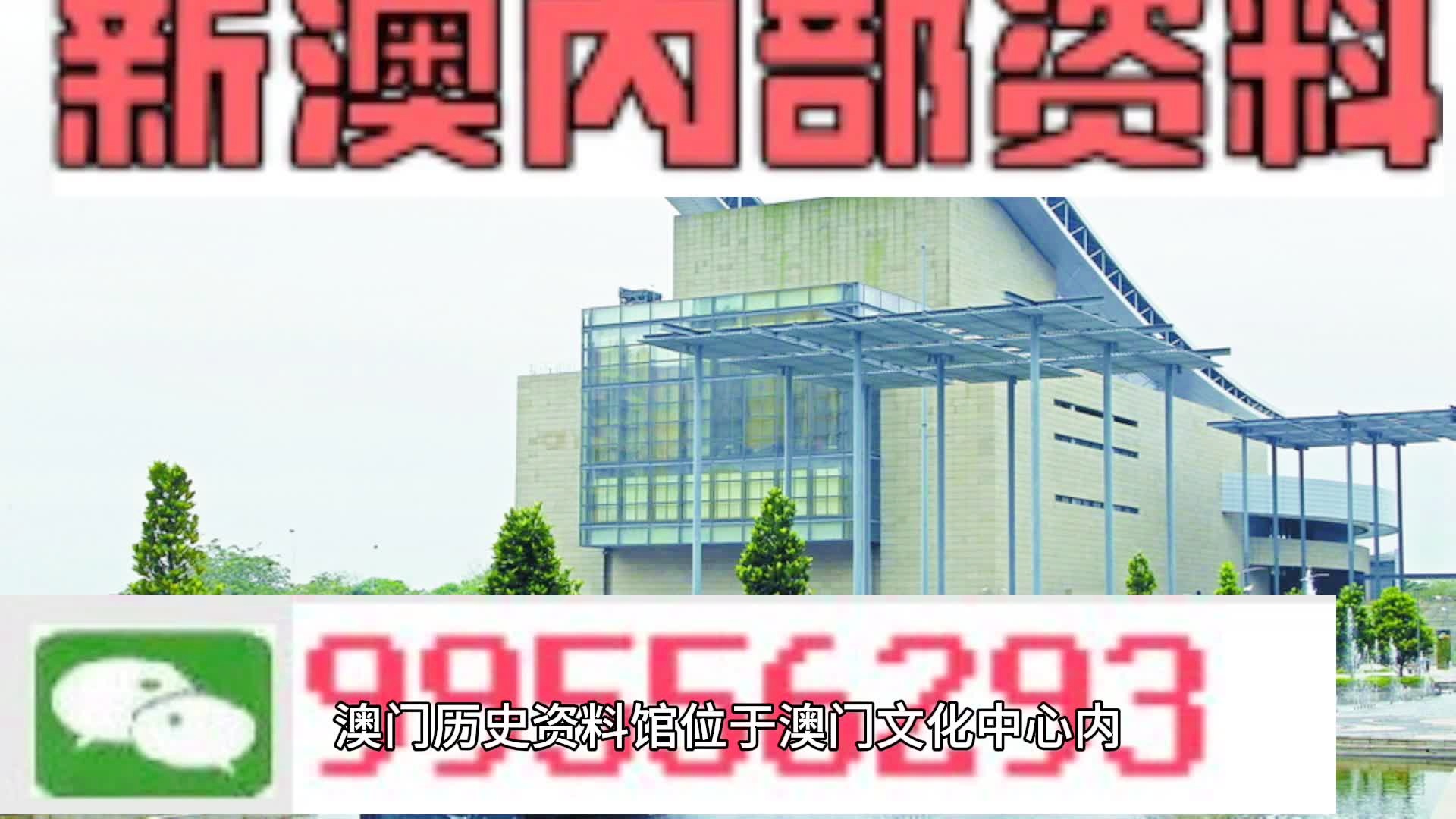新澳门资料大全正版资料，探索与解读（XXXX年视角）