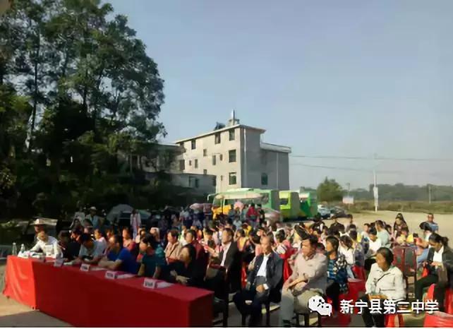 探索未来预测之道，一码一肖精准预测与专家解答的落实之路
