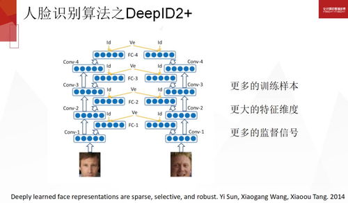 关于新澳正版免费资料与实时解答解释落实的研究探讨