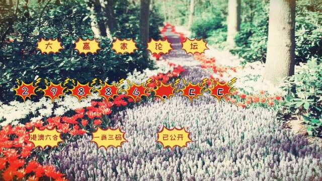 管家一肖一码100准免费资料解析与专家解答