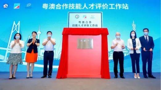 新澳门一码一码精准预测与正版挂牌的探讨