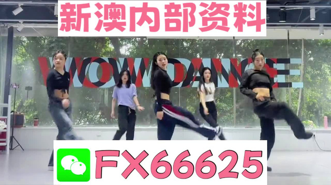 新澳精准资料第510期的深入解读与落实