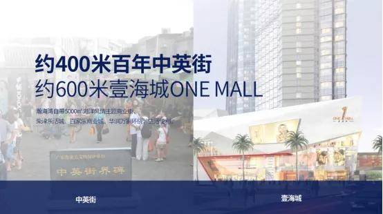 高效落实任务，打造卓越未来——王中王一肖一中一特一中战略蓝图下的2025展望与细化任务实施