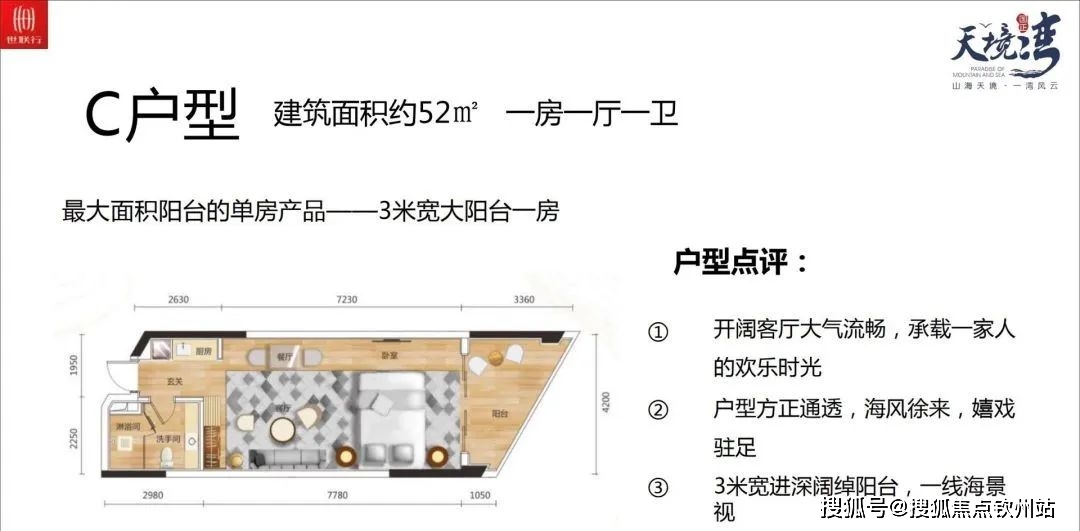 新澳天天彩资料大全最新版本，详细解答、解释与落实
