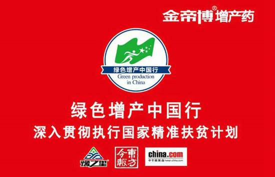 澳门和香港免费精准大全，释义、解释与落实的深入探讨