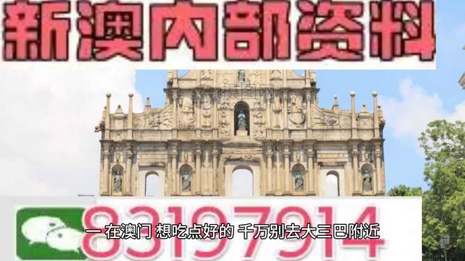 新澳门资料大全正版资料，探索与解读（XXXX年视角）
