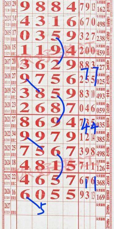 探索神秘数字组合，555525王中王四肖的统计解答与深入解释