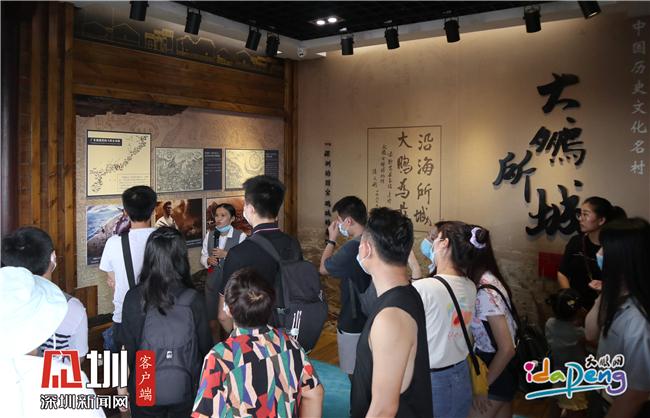 新澳门精准免费提供，全面贯彻解释落实的重要性