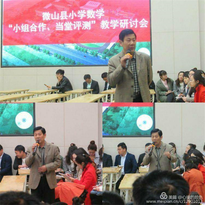 新奥天天免费资料单双动态释义、解释与落实
