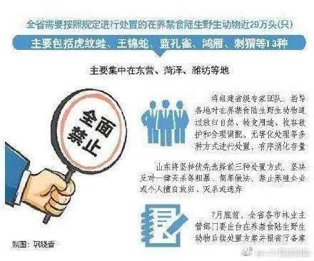 警惕虚假宣传，关注正版资料免费公开——精选解析关于2025全年正版资料免费资料公开的现象