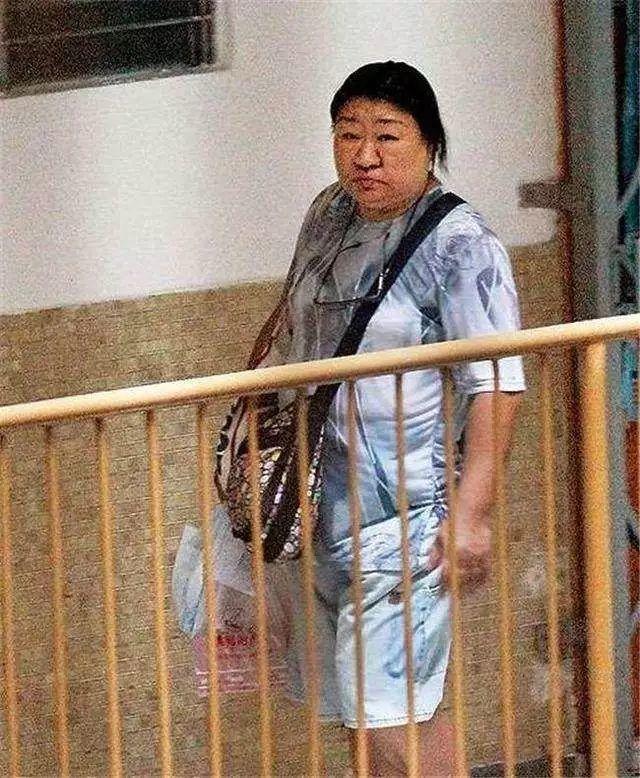 澳门四不像正版揭秘与详细解答解释落实