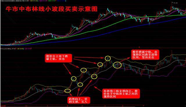 关于7777788888跑狗图的精准解答解释与落实——来自bi98.01.85的独特视角