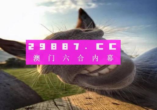 关于香港内部最准的一肖一码与实时解答解释的探讨