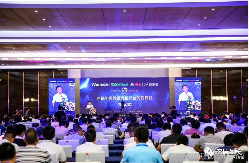 管家婆100期期中管家，专家解答解释落实的策略与智慧
