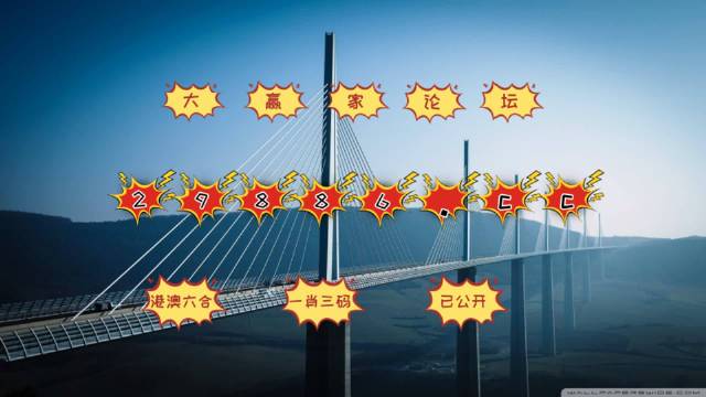 澳门王中王六码新澳门，专家解答解释落实之探索