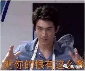 探索管家婆三期必开一期，官方版与最新版的独特魅力
