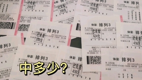 探索未来的彩票世界，2025年天天彩免费资料与澳门天天开好彩精准24码