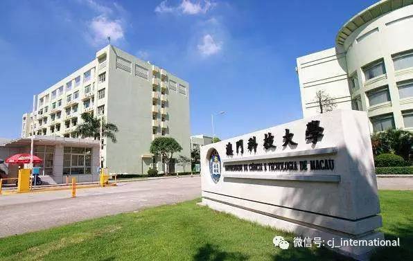澳门一码一肖一特一中，探寻神秘号码的魅力