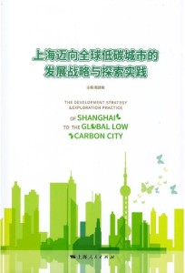 探索新澳门与香港的未来，精准发展的蓝图与免费策略的实施