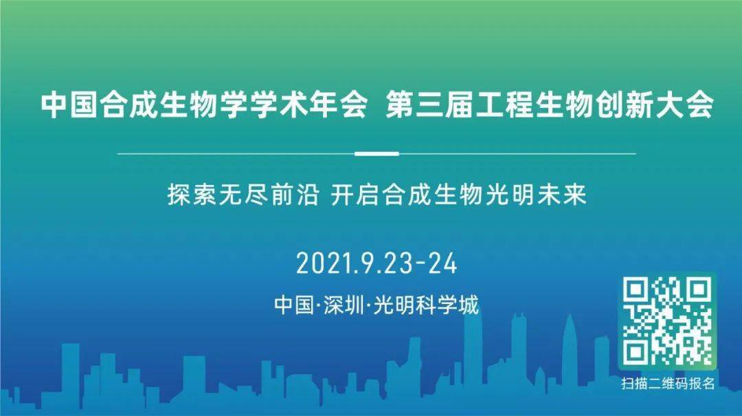 探索未来的澳门与香港，全面释义与落实策略下的新澳门与香港精准正版蓝图