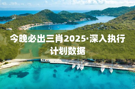 精选解析，预测与落实今晚三肖之选的深度探讨（2025年）