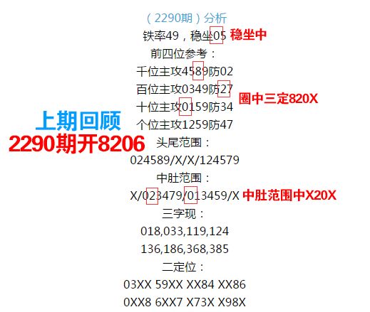 探索数字之谜，关于555525王中王四肖的统计解答与深入解释