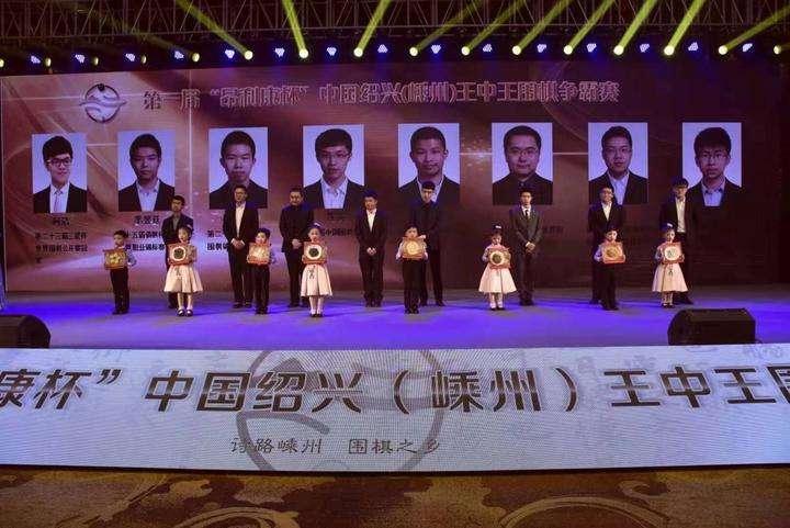 王中王王中王免费资料大全一，详细解答解释与落实策略