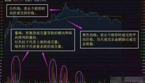 一码一肖，深度解析与实时解答解释落实