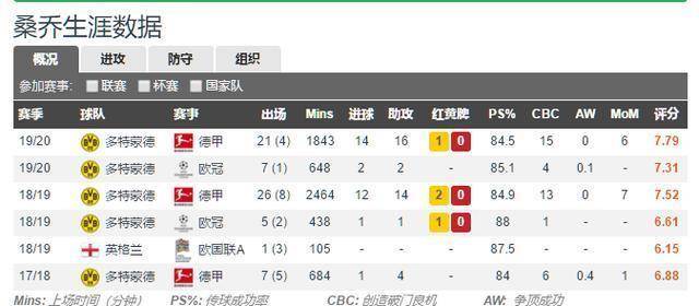 王中王资料大全与时代解答，深入解析与落实