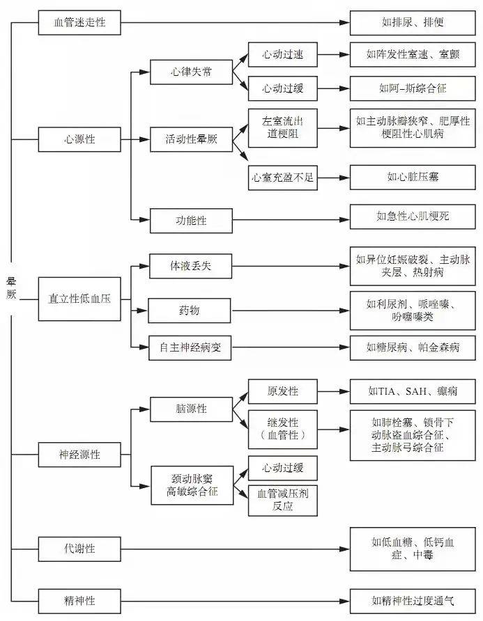 澳门六下彩资料详解，揭开数字背后的秘密