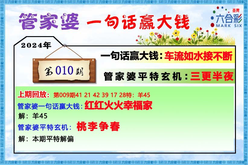关于管家婆白小姐四肖四码与词语释义解释落实的探讨