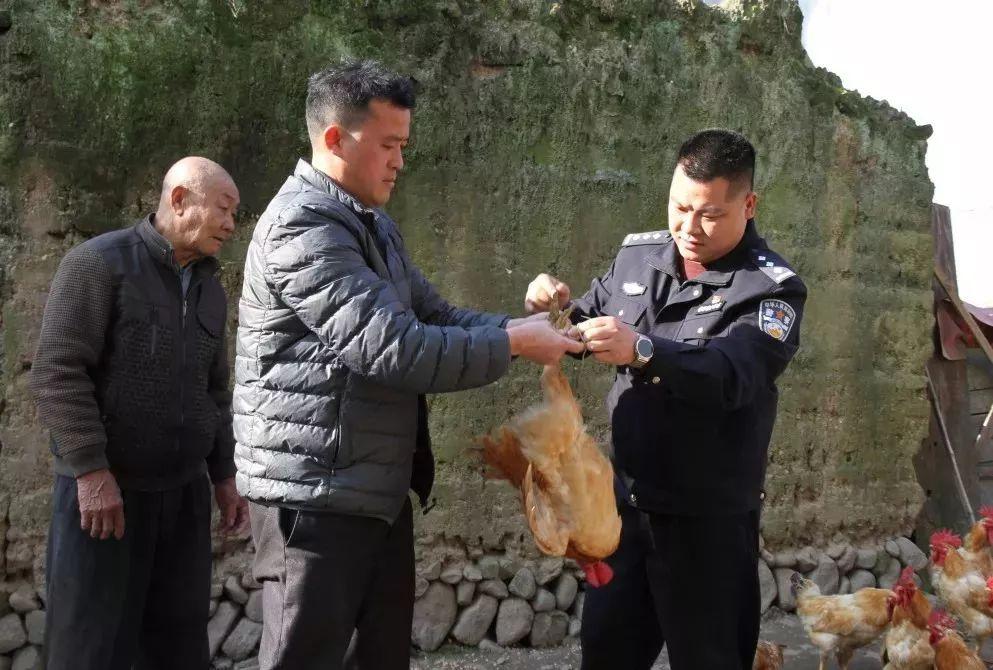 揭秘精准预测的秘密，一码一肖的百分之百精准预测之道