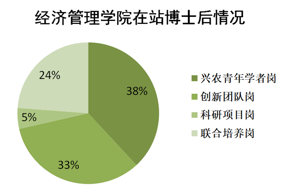 探索未来，基于新澳资料的定量解答与深入落实策略