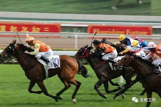 探寻今晚澳门赛马的精彩赛事，2023年澳门赛马会特马前瞻