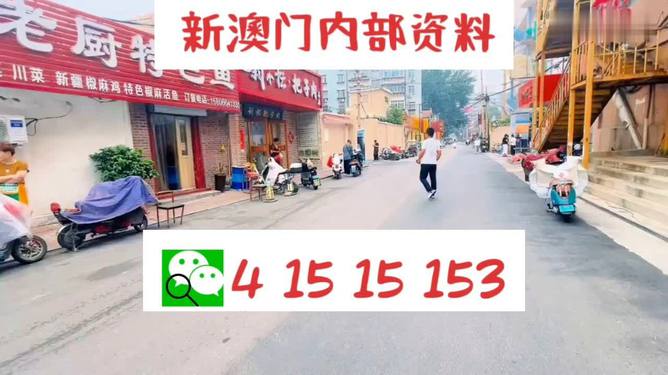 新澳门天天好彩，攻略秘籍助你赢翻天