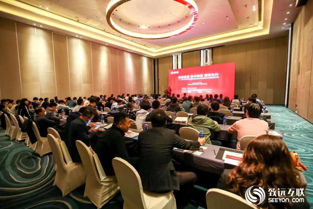 迈向2025，免费资料大全的精选解析、落实与策略
