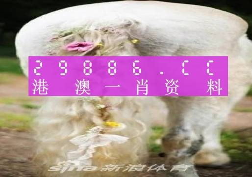 新澳门精准一肖一码准确公开，探索命运之轮的神秘面纱（2023年5月版）