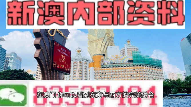 新澳2025精准正版免费资料与精选解析，落实之道