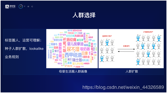 探究摇钱树四肖四码精准资料与专家解答解释落实的重要性