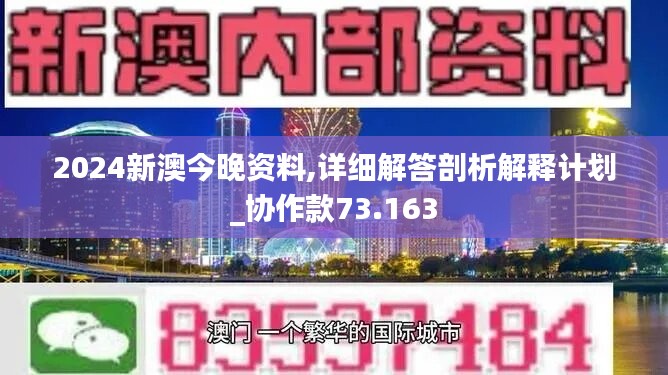 关于2025新澳正版免费资料与实时解答解释落实的研究探讨