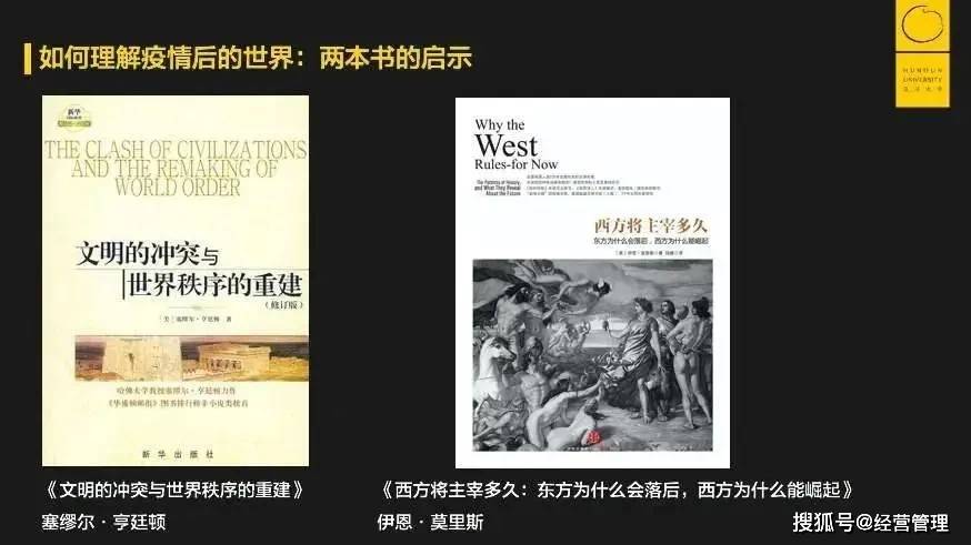 澳门四不像正版揭秘，深度解析与详细解答